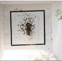 057_20100611_1974733252