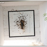 058_20100611_1379487169