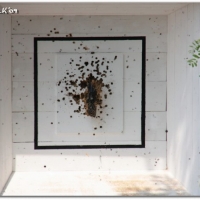 071_20100611_1563025807